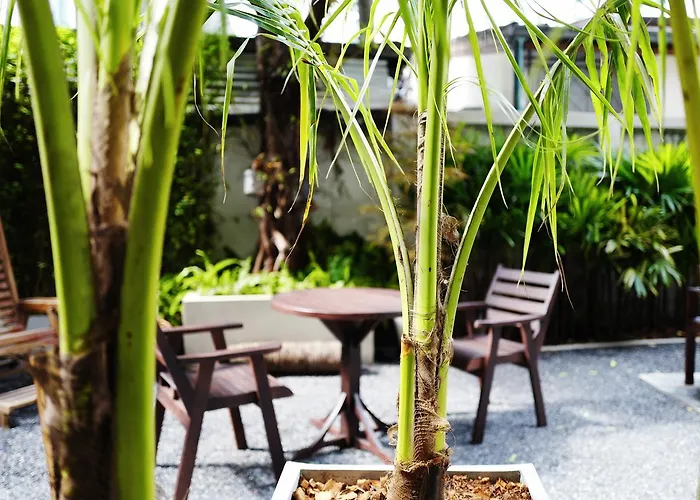 Yim Yam & Garden Albergue Banguecoque